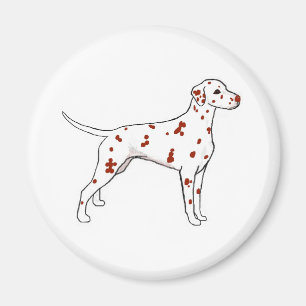 Aimant Dalmatie