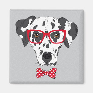 Aimant Dalmatien à la mode