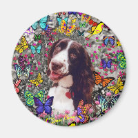 Dame aux papillons - Brittany Spaniel Chien