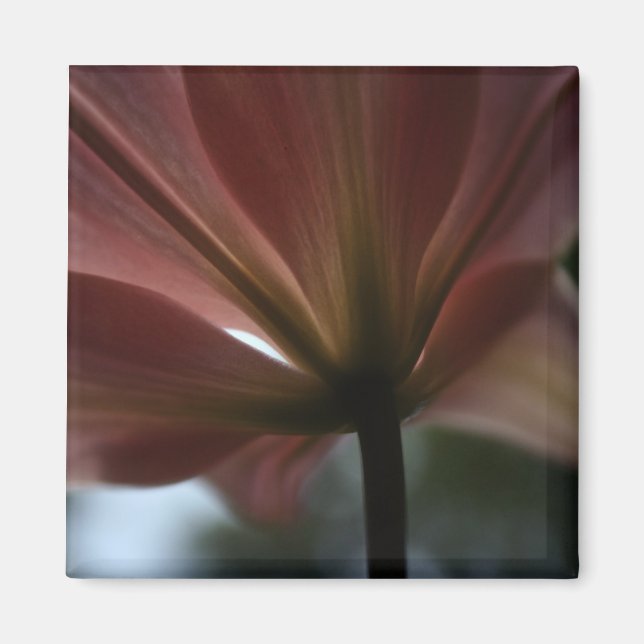 Aimant Dame rose (Devant)