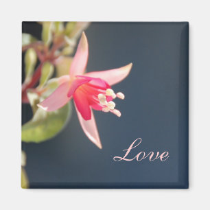Aimant d'amour