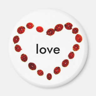 Aimant d'amour de coeur de coccinelle