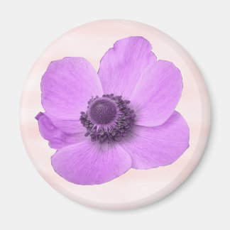 Aimant d'anémone rose