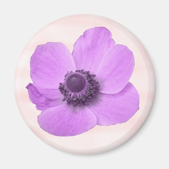 Aimant d'anémone rose (Devant)
