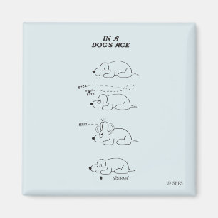 Aimant Dans l'âge d'un chien