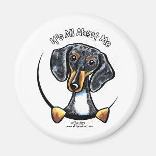 Aimant Dapple Dachshund C'Est Tout Pour Moi