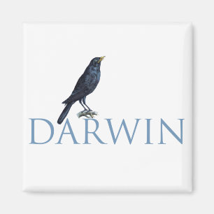 Aimant Darwin