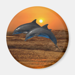 Aimant Dauphin de verdure au coucher du soleil