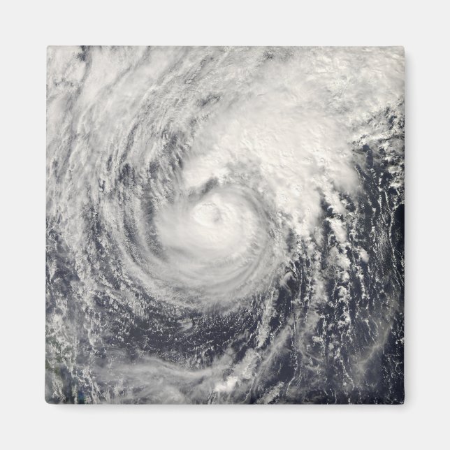 Aimant Dauphin du typhon dans la mer des Philippines (Devant)