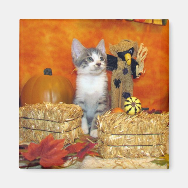 Aimant d'automne de la côtelette de porc - Chat /  (Devant)