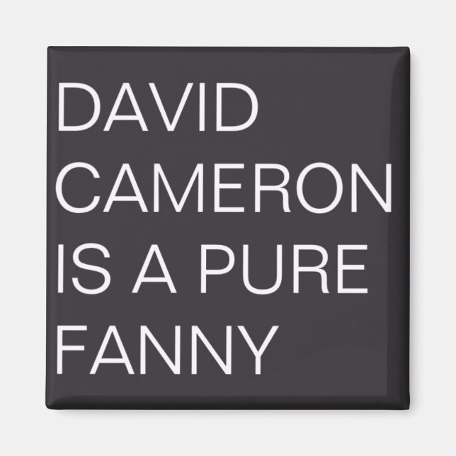 Aimant David Cameron (Devant)