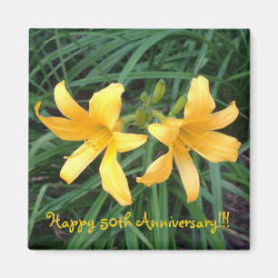 Aimant DAYLILY "Downey" Gold Duo —