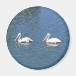 aimant de 2 pélicans blancs