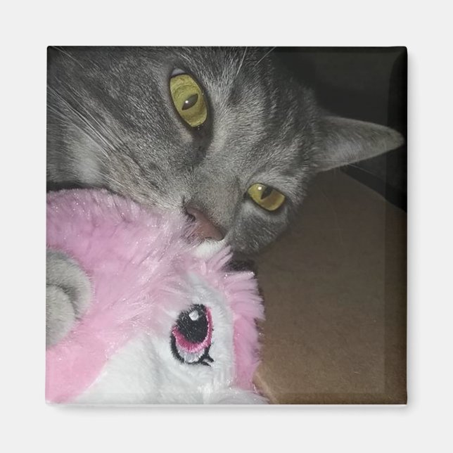 Aimant de bascule des pétales (Devant)