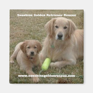 Aimant de bayou - délivrance de golden retriever