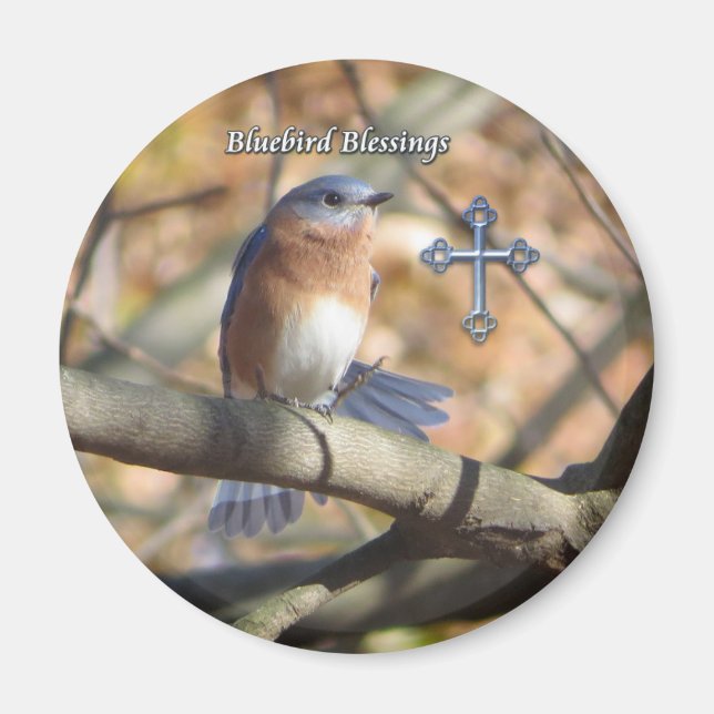 Aimant de Bénédiction des oiseaux bleus de l'Est. (Devant)