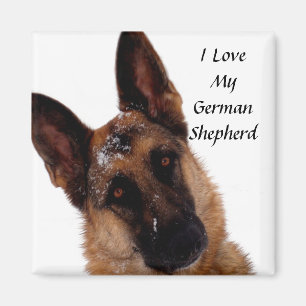 Aimant de berger allemand