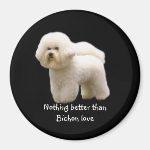 Aimant de Bichon Frise