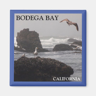 Aimant de Bodega Bay
