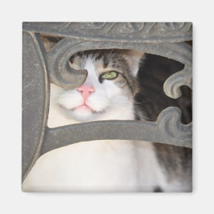 Aimant de Boris Kitty