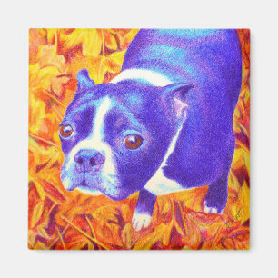 Aimant de Boston Terrier - "marguerite
