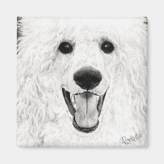 Aimant de caniche - "Jolly Boy" (Devant)