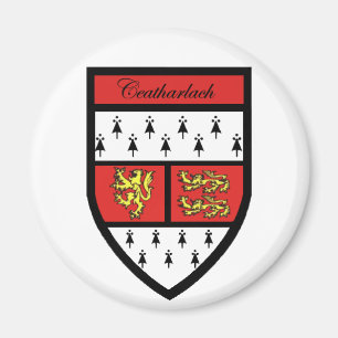 Aimant de Carlow du comté