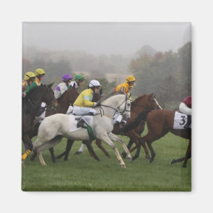 Aimant de carré de champ de cheval de course