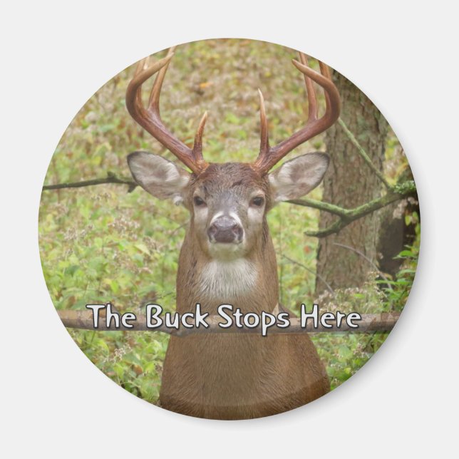 Aimant de cerf (Devant)