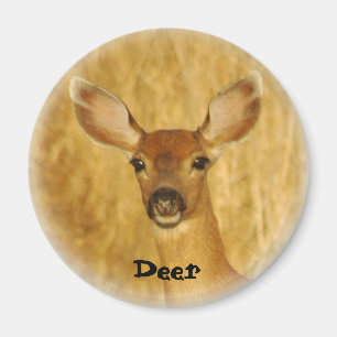 Aimant de cerfs communs