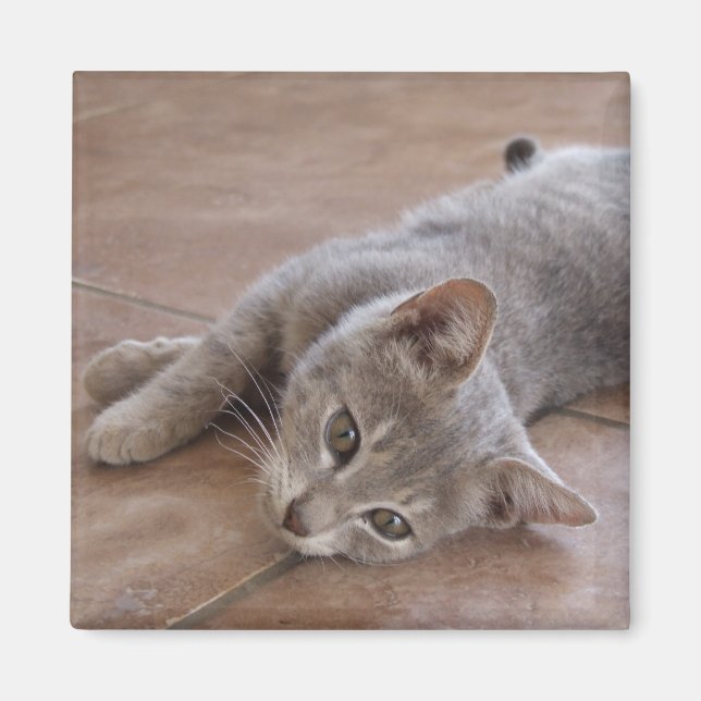 Aimant de chat (Devant)
