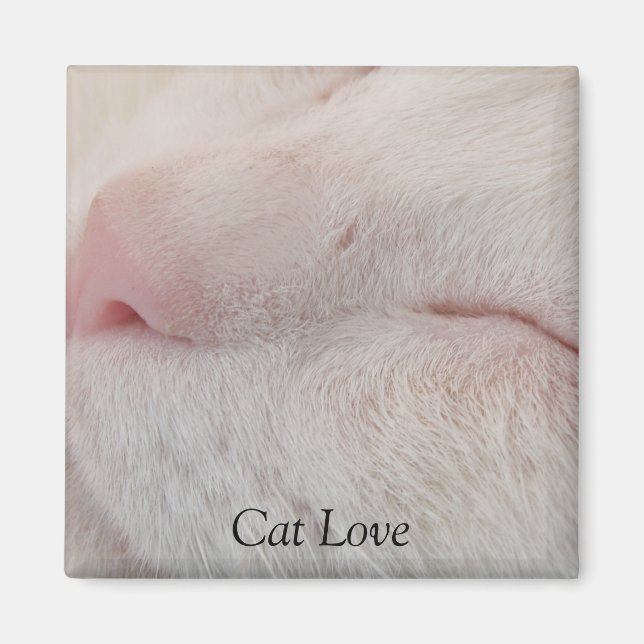 Aimant de chat (Devant)