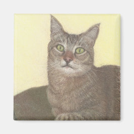 Aimant de chat Abyssinien