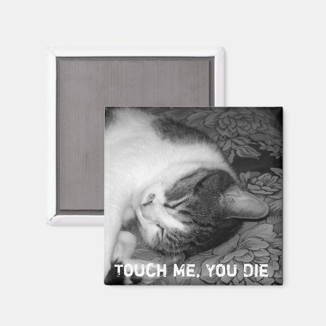 Aimant de chat couché (Recto/Verso)