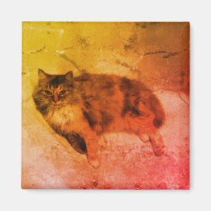 Aimant de chat de calicot