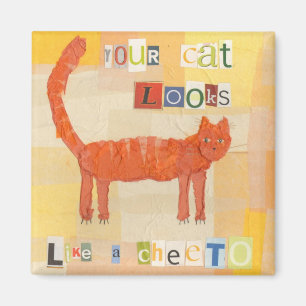 Aimant de chat de Cheeto
