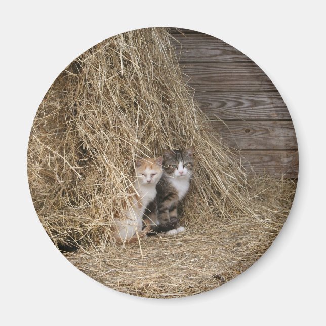 Aimant de chat de grange (Devant)