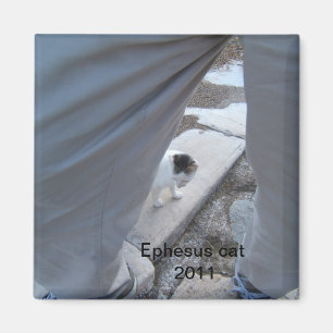 Aimant de chat d'Ephesus