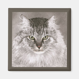 Aimant de chat - "MERLIN "
