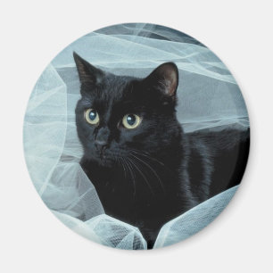 Aimant de chat noir