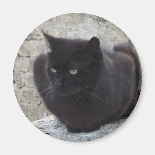 Aimant de chat noir (Devant)