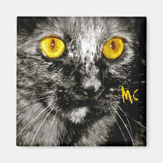 Aimant de chat singe