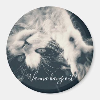 Aimant de chat - Vous voulez sortir ?