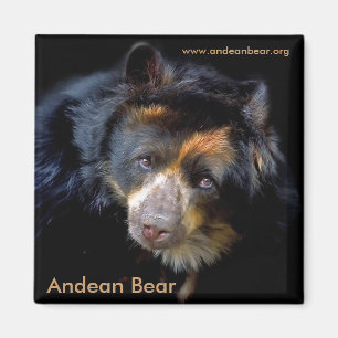 Aimant de Cheri McEachin