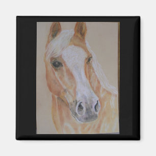aimant de cheval de palomino