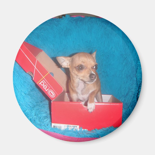 Aimant de chien (Devant)