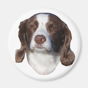 Aimant de chien