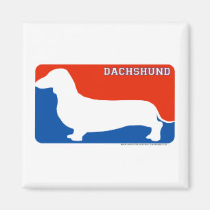 Aimant de chien de ligue de teckel