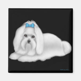 Aimant de chien maltais