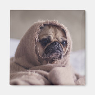 Aimant de chien mignon 3